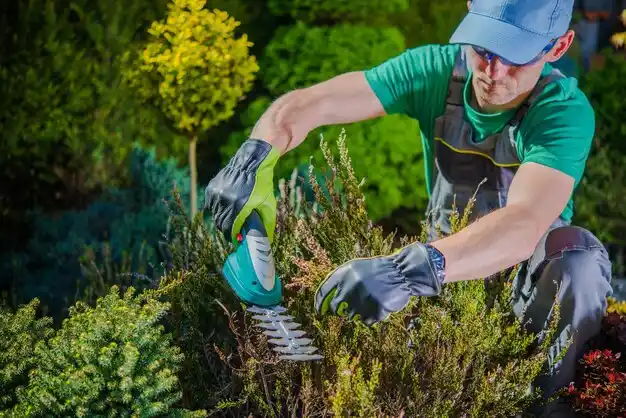 landscaping services Botkins